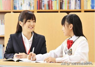 教育咨詢(xún)師 招生顧問(wèn) 招生簡(jiǎn)章